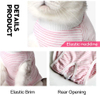 Professional Recovery Surgical Suits For Cats Pets Clothing