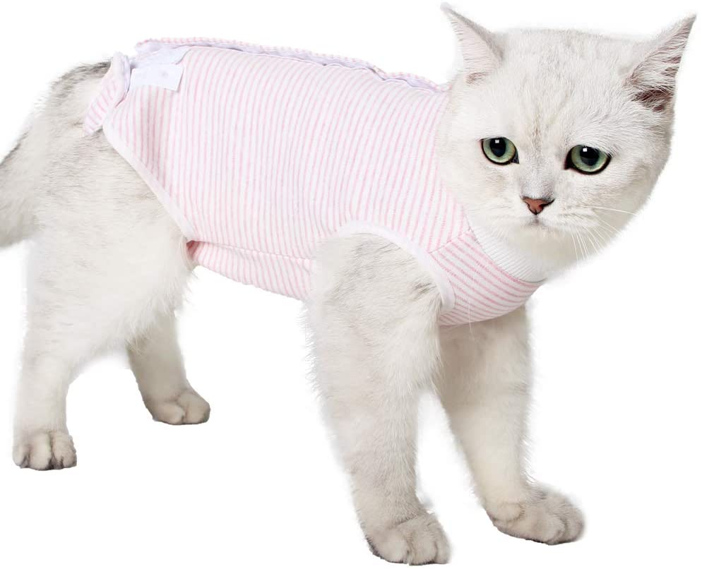 Professional Recovery Surgical Suits For Cats Pets Clothing